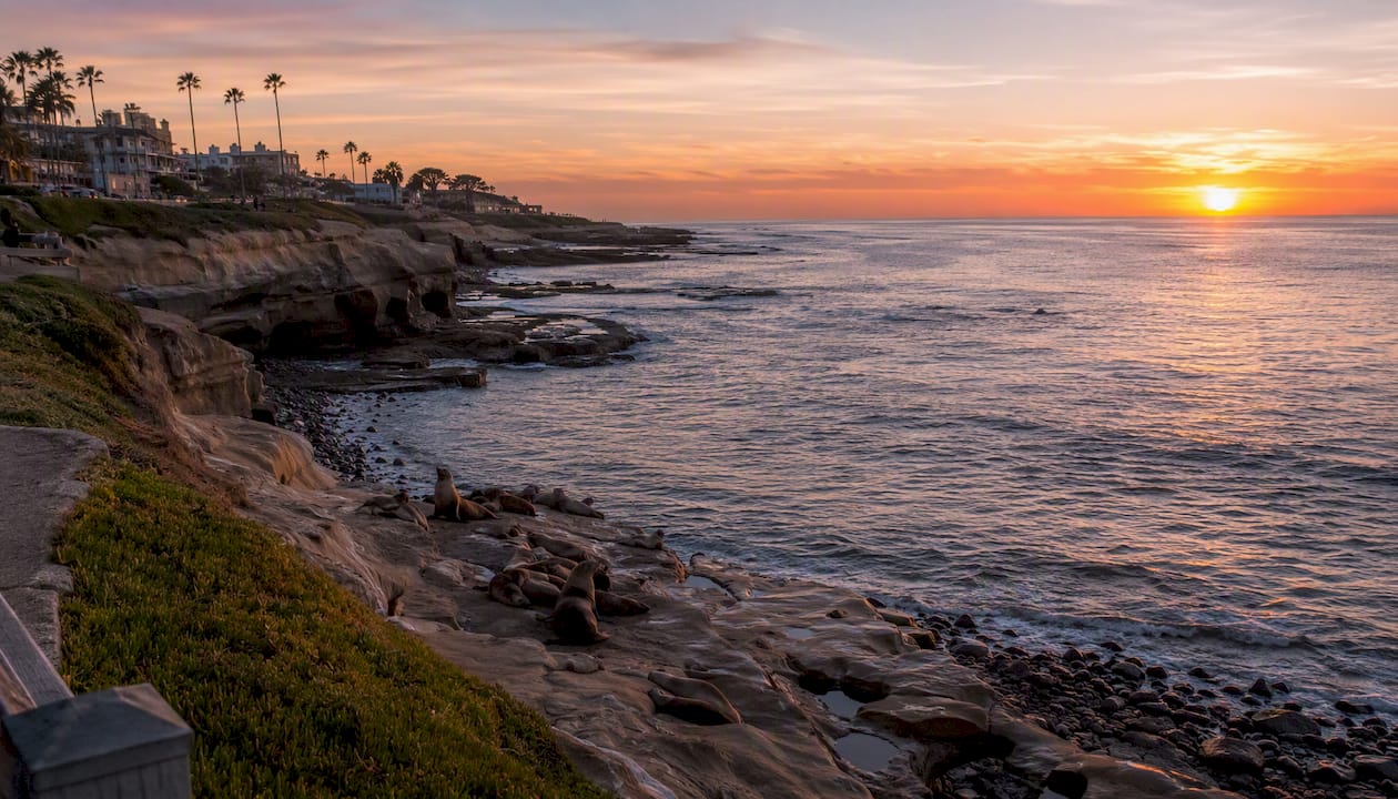 Sea lions resting on rocks at sunset in La Jolla Cove