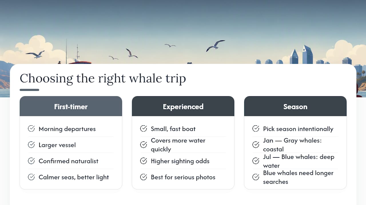 An honest local take on choosing a San Diego whale-watching trip — overview diagram