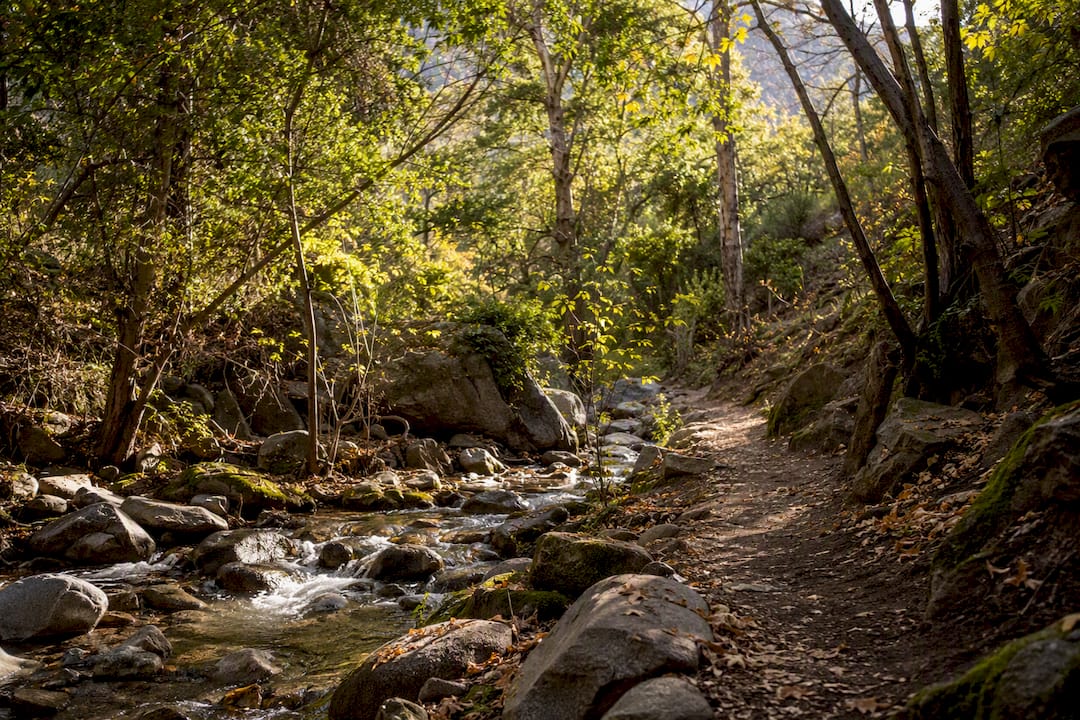Shaded creek trail at Eaton Canyon Falls
