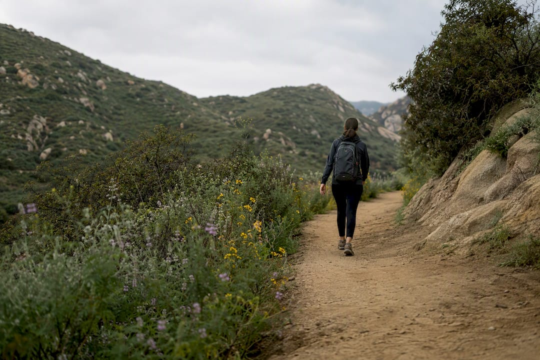 The Best Hikes in Los Angeles, Sorted by What You Actually Want