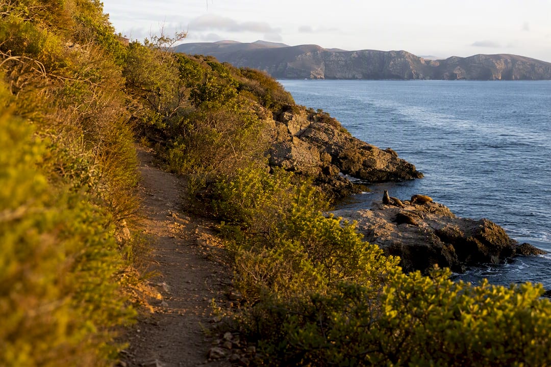 Trail and sea lions on rocky cliffs at Anacapa Island