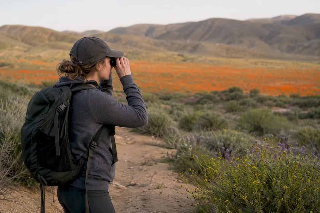 Hiker using binoculars on wildflower trail