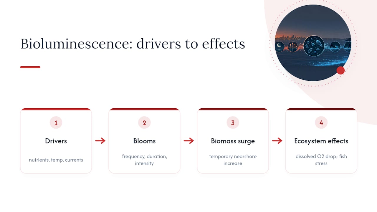 Factors influencing San Diego bioluminescence blooms