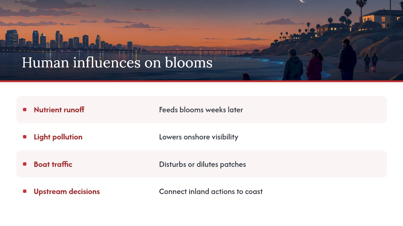 How Human Activity Shapes Local Bioluminescent Events — overview diagram