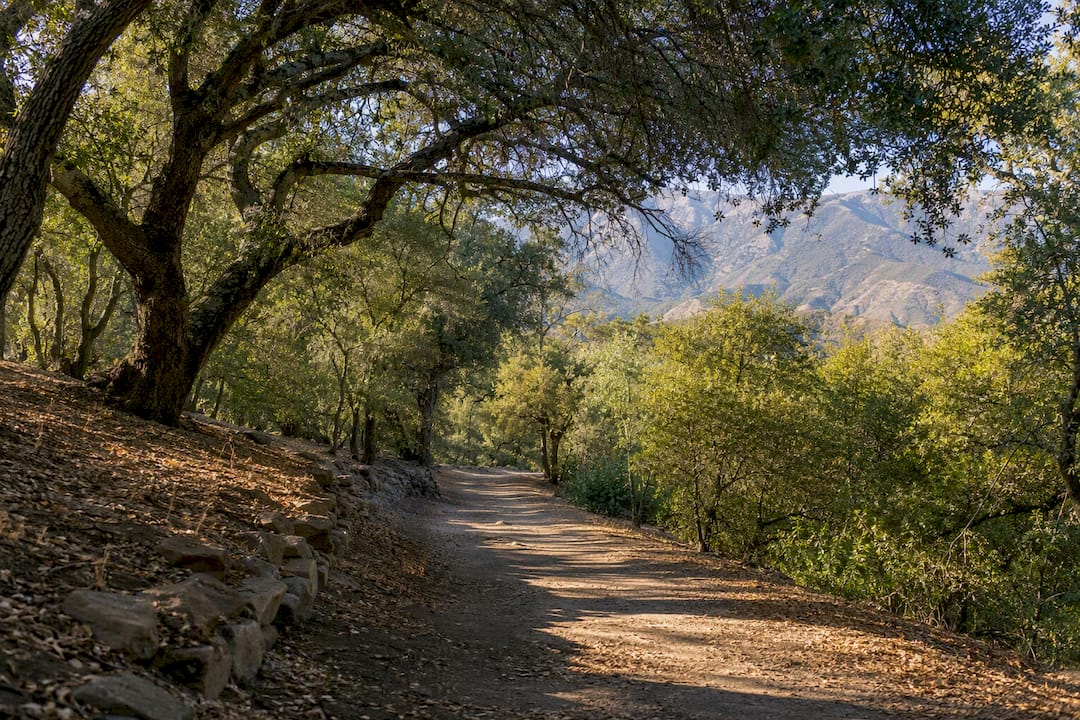 Quiet oak-lined trail in Ojai foothills