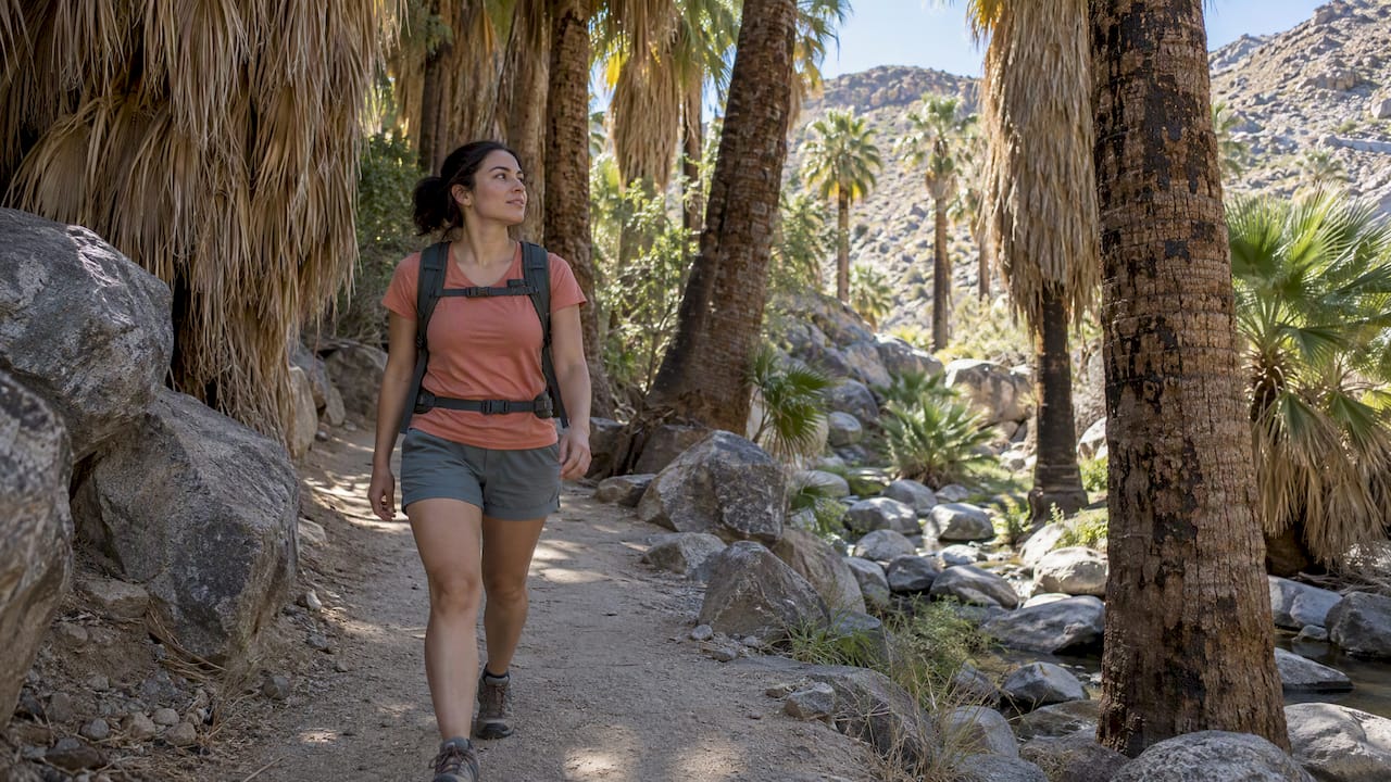 Traveler walking through Palm Springs palm oasis