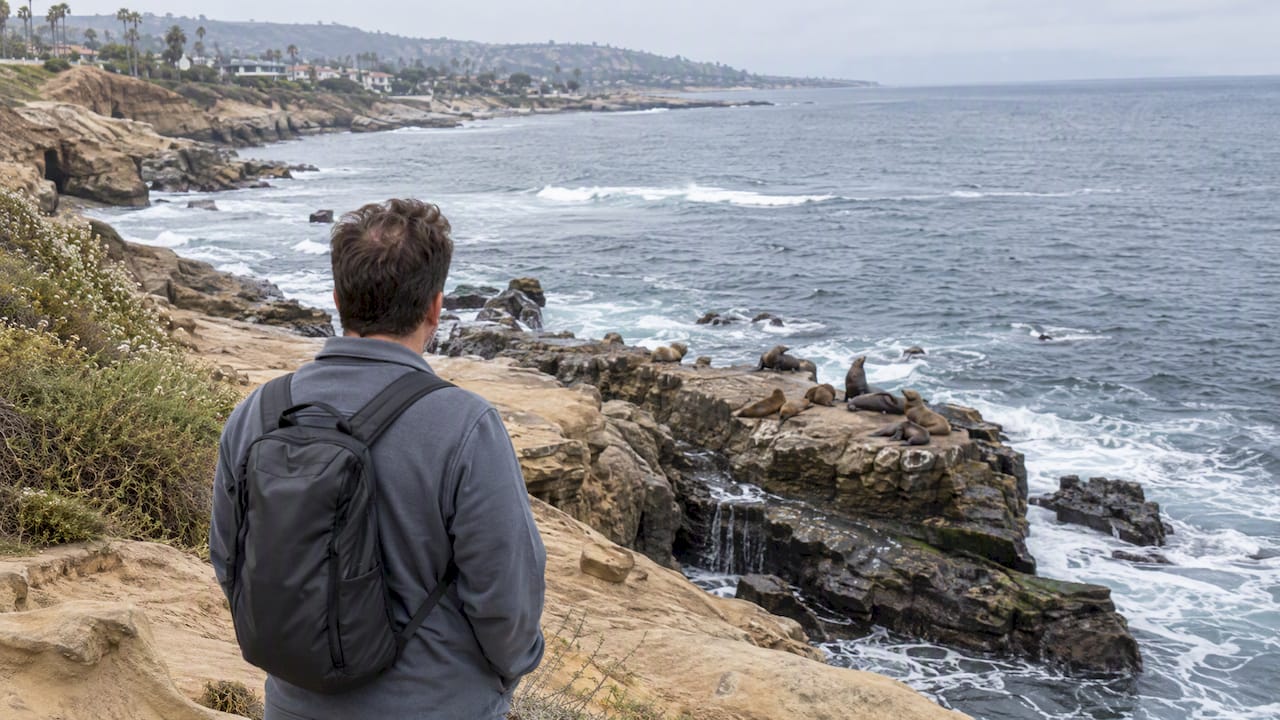 Visitor observing sea lions from a distance