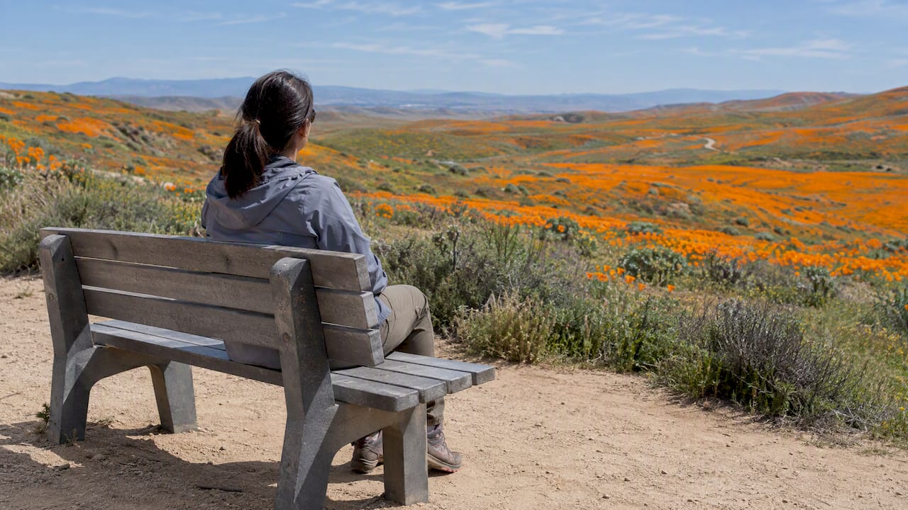 Visitor resting beside poppies on Antelope Loop