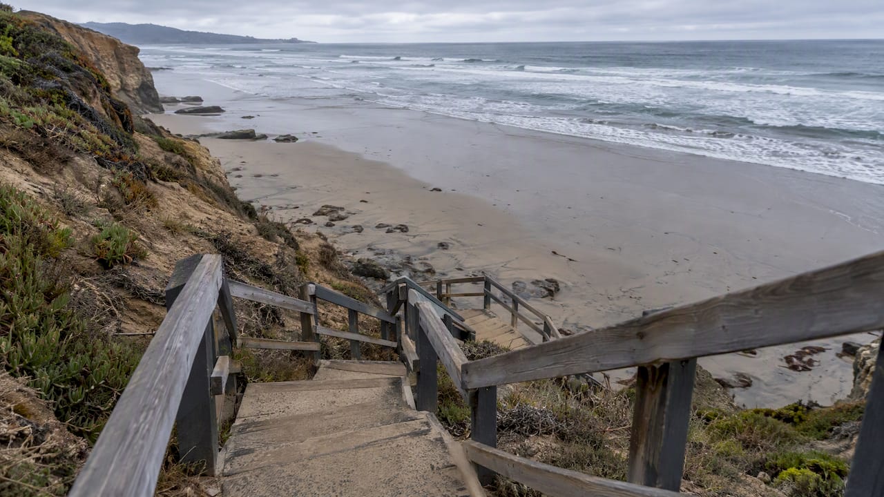 Bluff staircase leading to a changing tide line