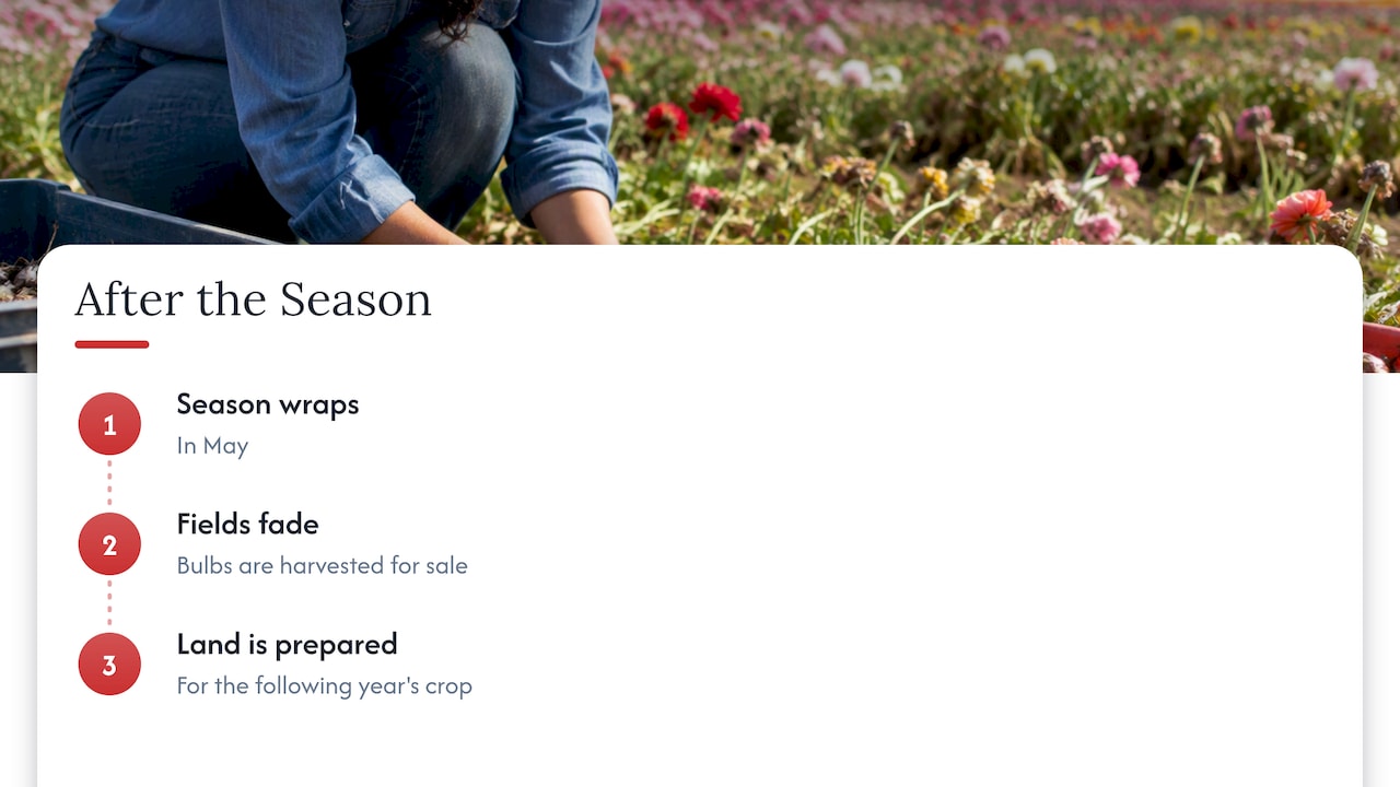 Special Events and Festivals During the Season — overview diagram