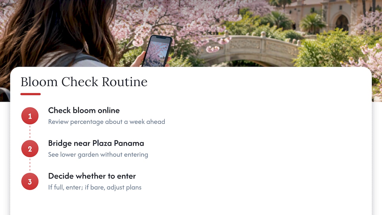 3. When do cherry blossoms peak in San Diego? — overview diagram